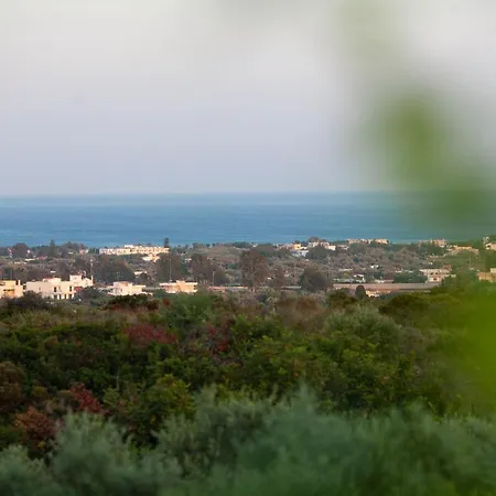 Muses Of Art Βίλα Αφάντου