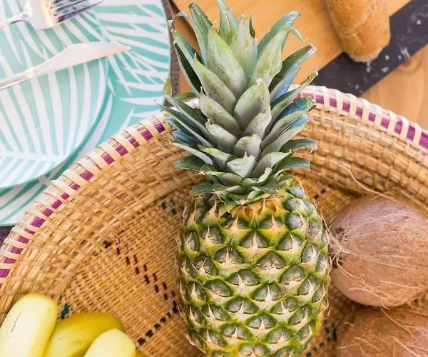 فيلة Muses Of Art