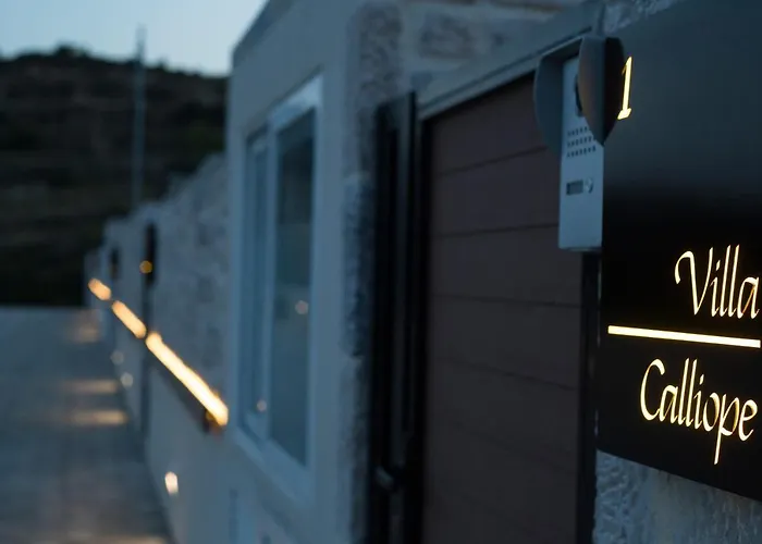 Muses Of Art فيلة *