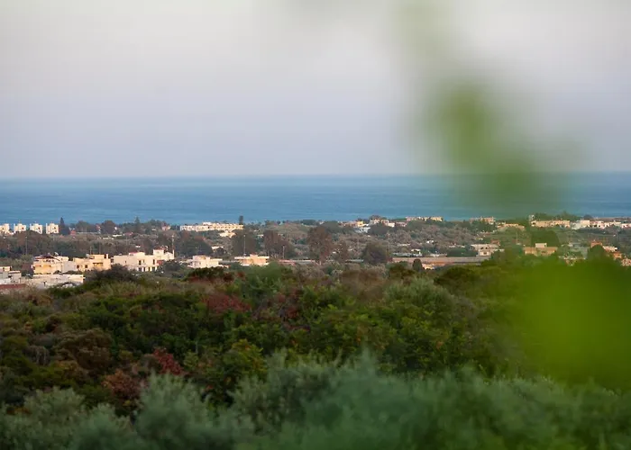 Muses Of Art فيلة أفانتو